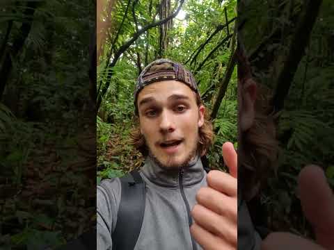 YouTube-Video-Thumbnail