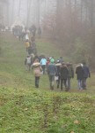 La crête des Éparges (Photo: Cziborra Jasmin)