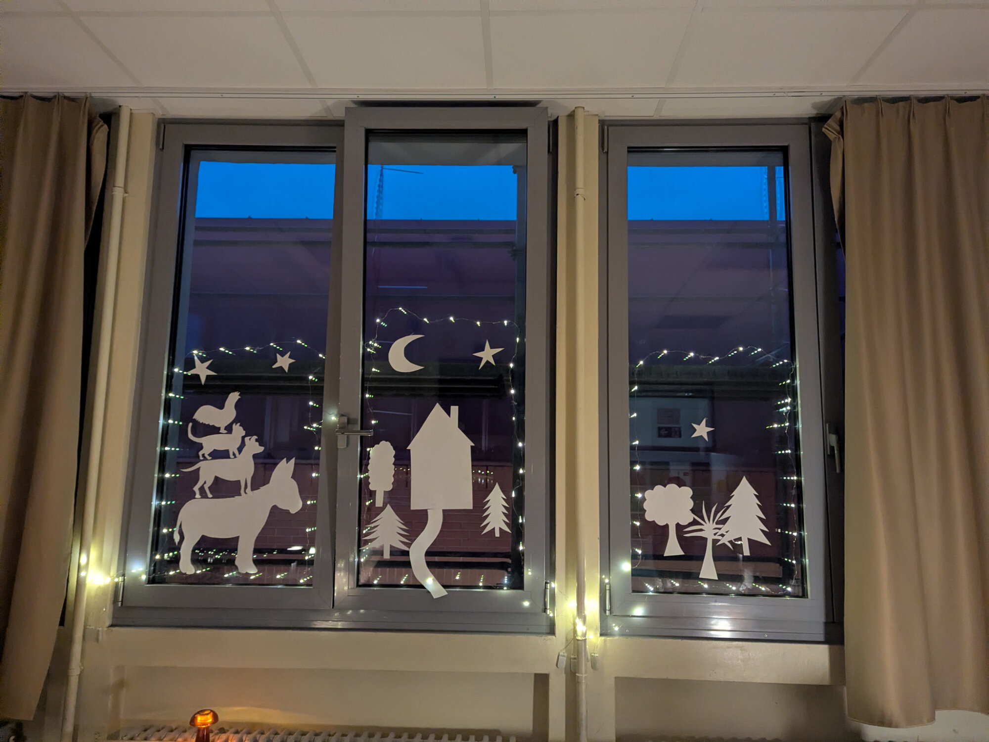 Eine märchenhafte Lesenacht am DFG